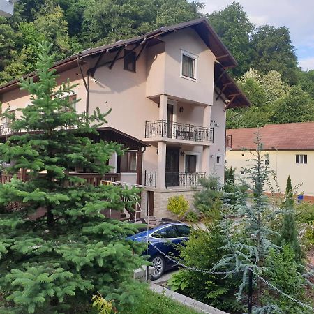 Vila Tisa Tismana Exterior foto
