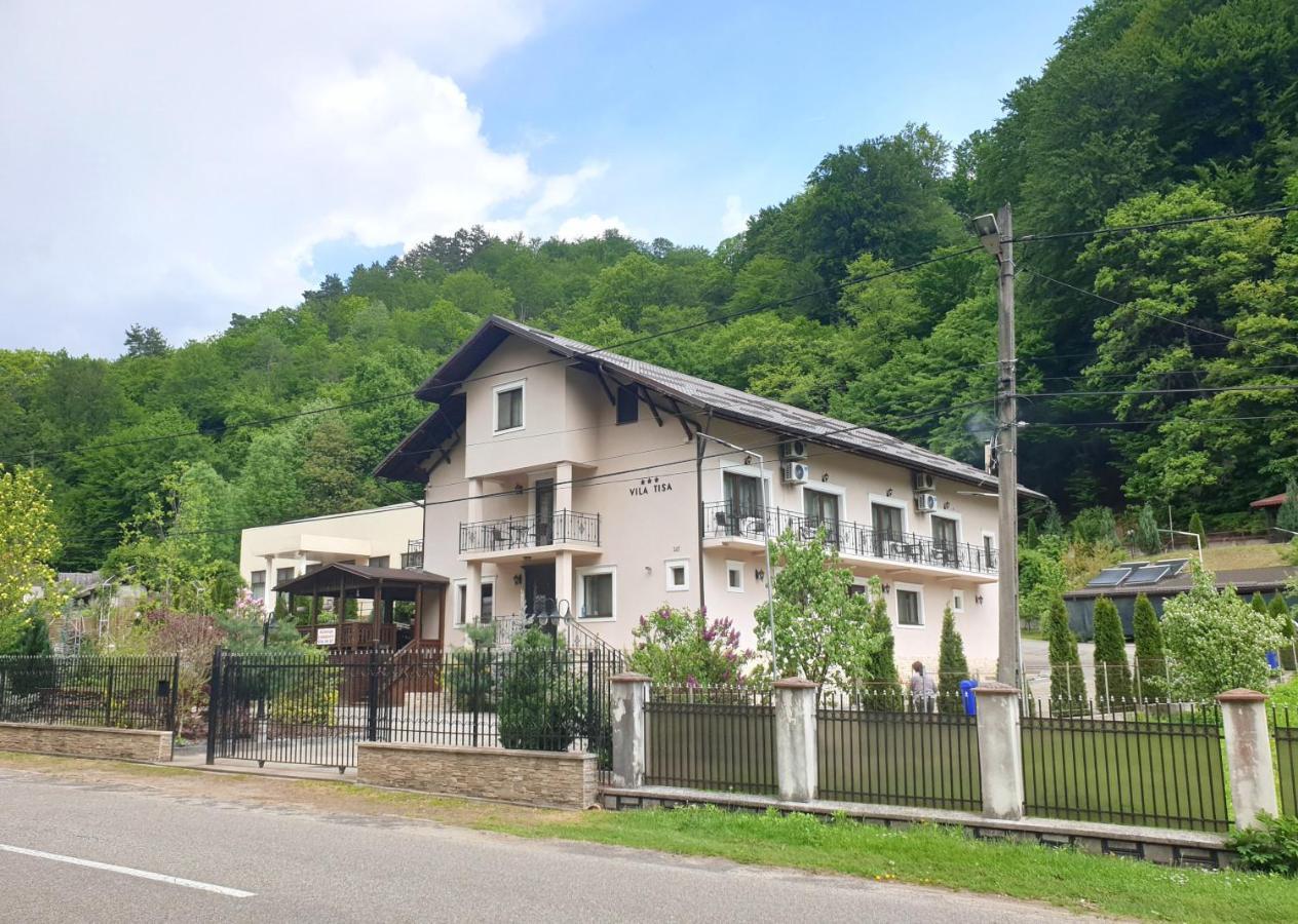Vila Tisa Tismana Exterior foto