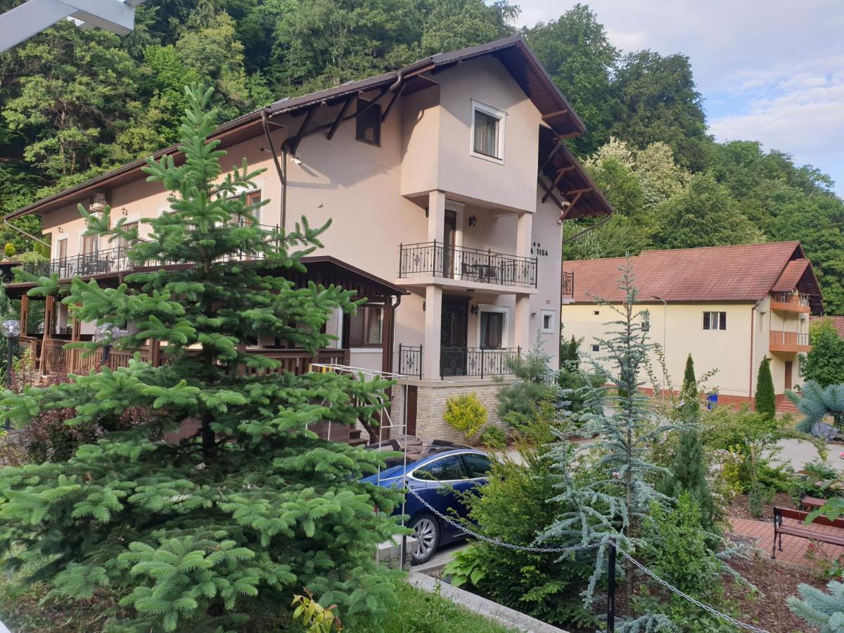 Vila Tisa Tismana Exterior foto